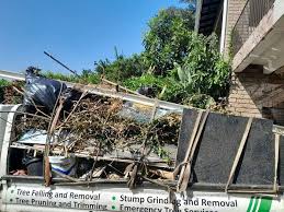 Best Carpet Removal and Disposal  in Charles Town, WV